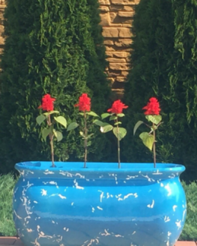 Горщик керамічний v-86 глазуроване покриття