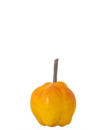 Айва 2